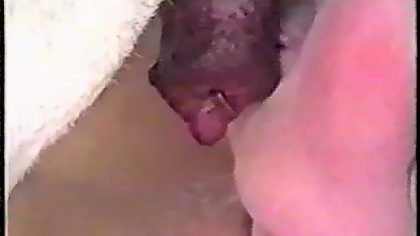 Girl dog blowjob with cumming in mouth