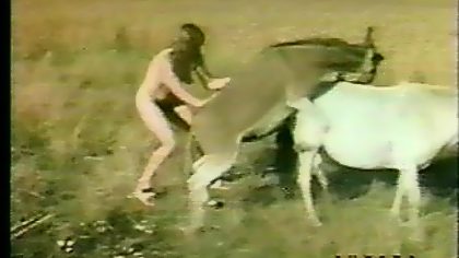 Girl and animals porn